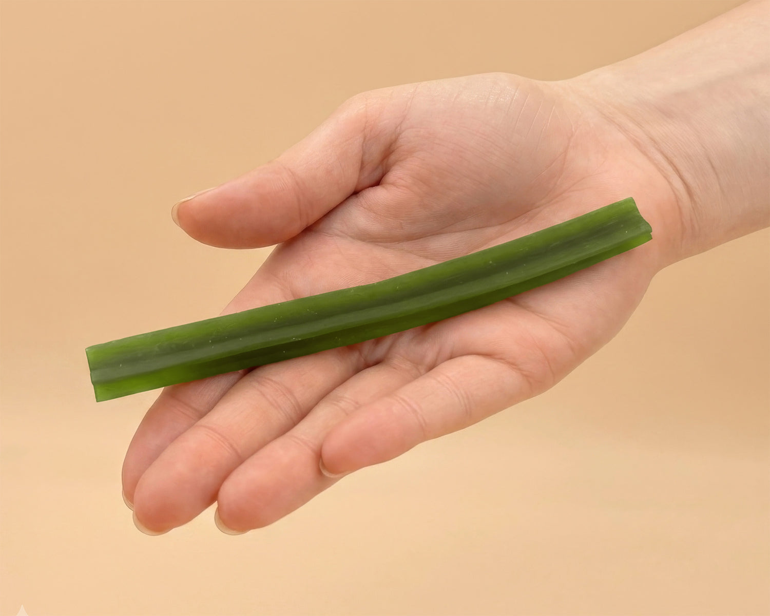 Zahn-Snack für Hunde - Rind mit Algen und Grüntee-Extrakt (7 Sticks)
