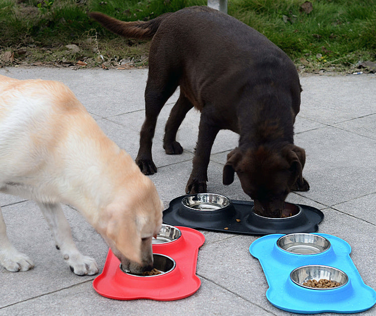 Double dog bowl black ANTI-SKIP