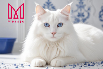 Mersjo Silikon Katzenstreu Neutral 5x3.8L