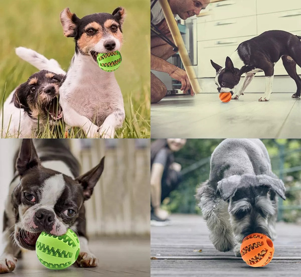 SNACK BOWL Hundeleckerli-Ball