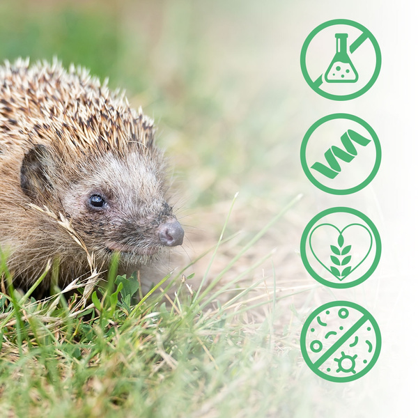 Suszone larwy mącznika, karma dla koi, gryzoni, jeży, ptaków, gadów, ryb, Mersjo 6,5l 1kg