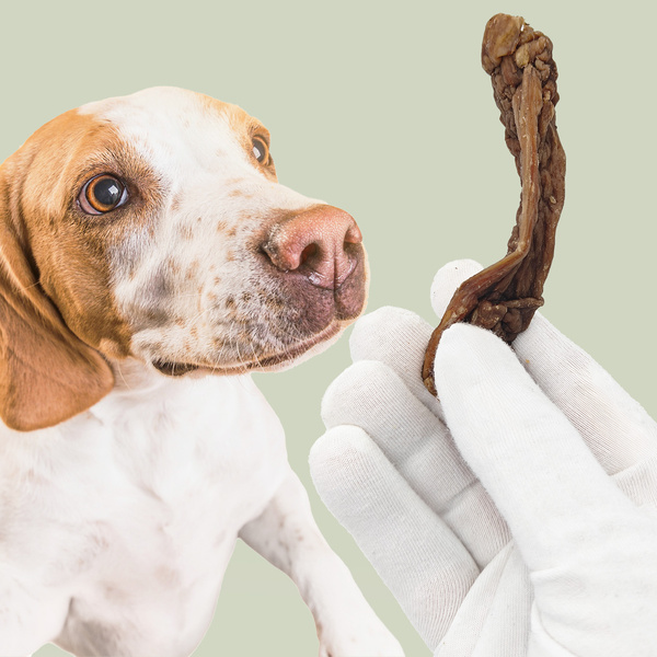 MERSJO tender beef snack for puppies and seniors 100% natural