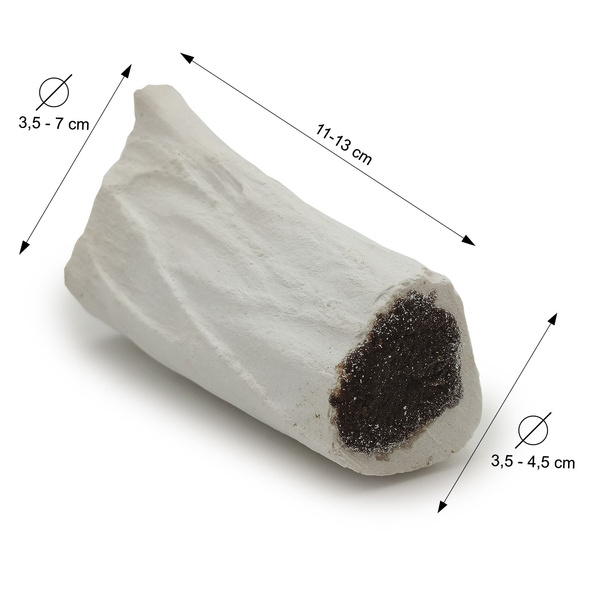 Natural dog chew with beef bone and meat, treat, delicacy, Mersjo