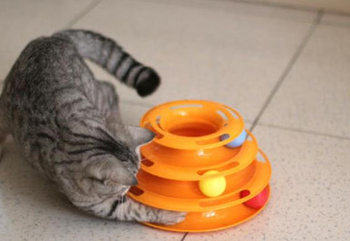 Cat toy tower with balls