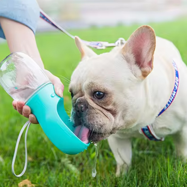 Dog travel bottle 350 ml turquoise