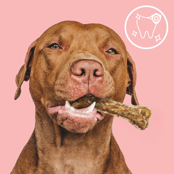 MERSJO bone with rabbit and prebiotic 10 cm - for puppies and seniors