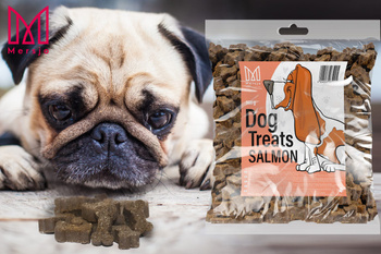 Mersjo salmon training treat for dogs 500g