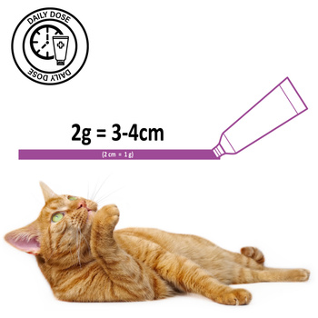 Cat functional paste with biotin, dietary supplement Mersjo Anti-Hairball 100g