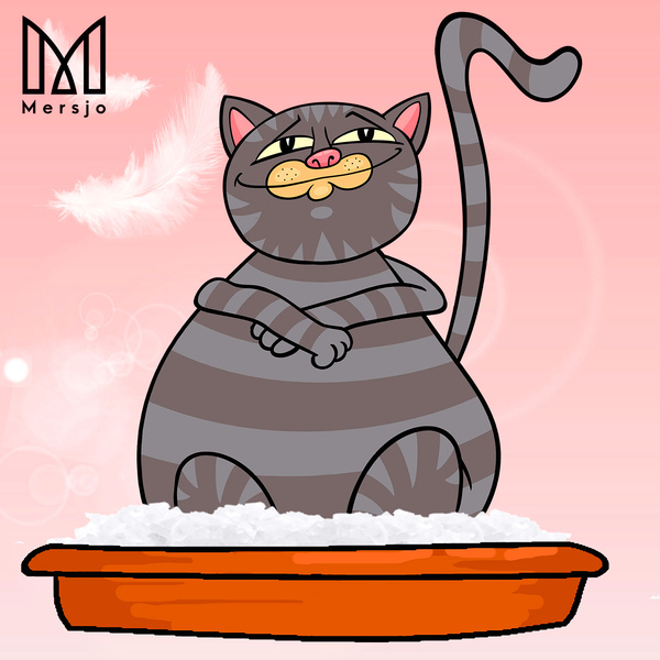 Żwirek silikonowy dla kota Mersjo Sensitive 5x3,8L