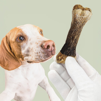 MERSJO salmon chew bone for dogs 13.5 cm - healthy skin and coat