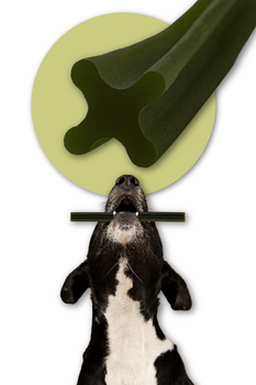 Zahnpflegesnack für Hunde Dental Sticks Mersjo Rind Algen Grüntee 28 Stück