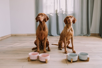 Keramik Doppelschale Holz grau 2x400 ml