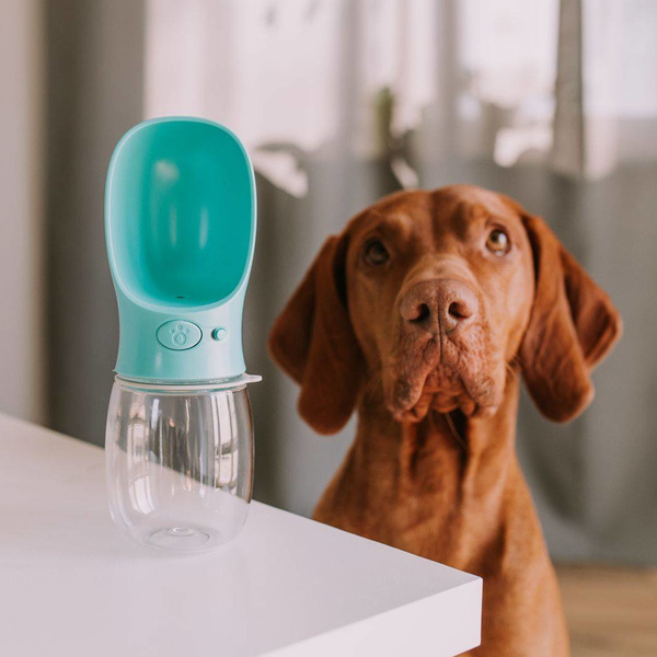 Dog travel bottle 350 ml turquoise