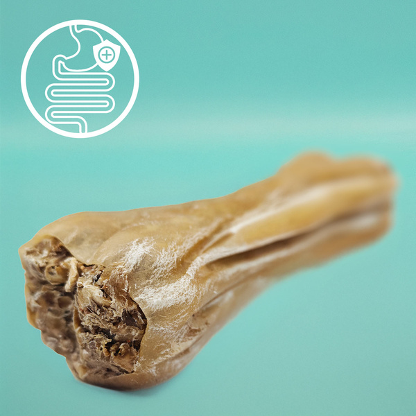 MERSJO pheasant function bone for dogs 13.5 cm - energy and digestion