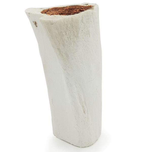 Natural dog chew with beef bone and meat, treat, delicacy, Mersjo