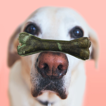 MERSJO quail chewing bone for dogs 13.5 cm - fresh breath