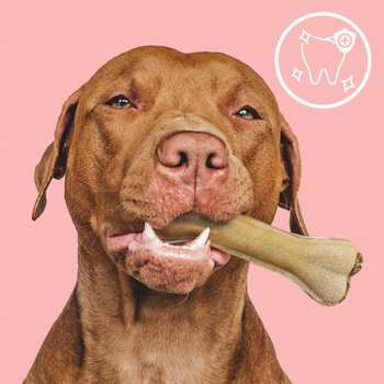 MERSJO Hundekauknochen mit Pansen und Multivitamin 13,5cm - Vitalität