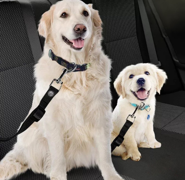 Car seat belt for dog, cat
