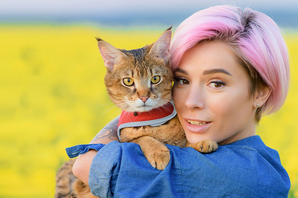 Bentonit-Katzenstreu PH CONTROL 10l