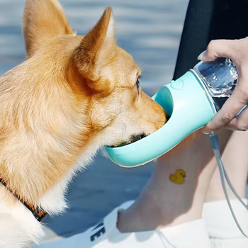 Dog travel bottle 350 ml turquoise