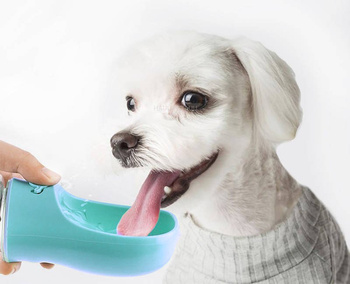 Hunde-Reiseflasche 350 ml türkis