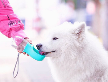 Dog travel bottle 350 ml turquoise