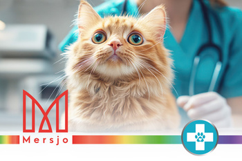 Bentonit-Katzenstreu PH CONTROL 10l