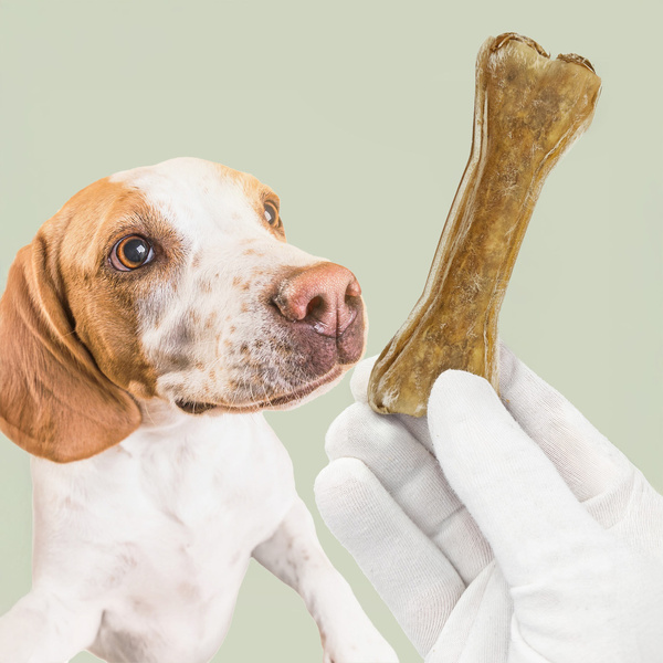 MERSJO Fasanen-Funktionsknochen für Hunde 13,5 cm - Energie und Verdauung