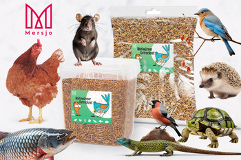 Dried mealworm larvae, food for koi, rodents, hedgehogs, birds, reptiles, fish, Mersjo 6.5l 1kg