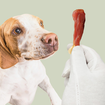 Udko wapienne z kaczką, naturalny przysmak dla psa, Mersjo, WildLeg, 500g