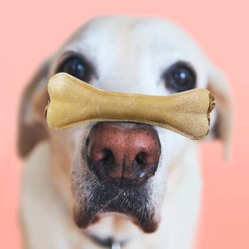 MERSJO Hundekauknochen mit Pansen und Multivitamin 13,5cm - Vitalität