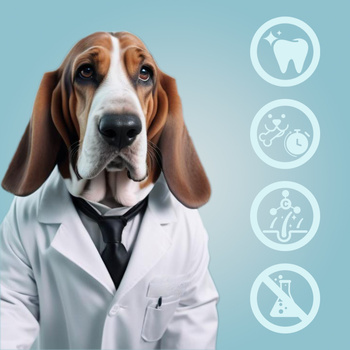 Dog treat - Calcium bones with chicken, natural dog treat, grain-free Mersjo 500g