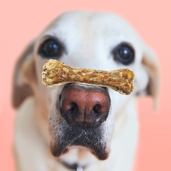 MERSJO bone with rabbit and prebiotic 10 cm - for puppies and seniors