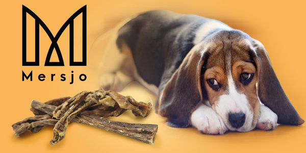 MERSJO tender beef snack for puppies and seniors 100% natural