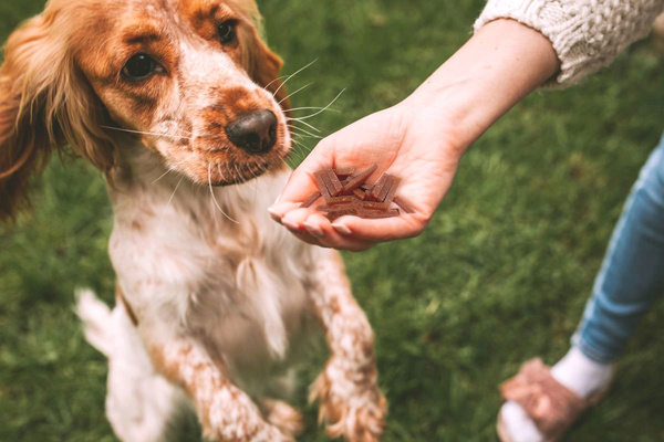 Cat treat - Mini duck slices 50g