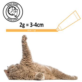 Cat Anti-Hairball paste with multivitamin, dietary supplement Mersjo Multi-Vitamin 100g