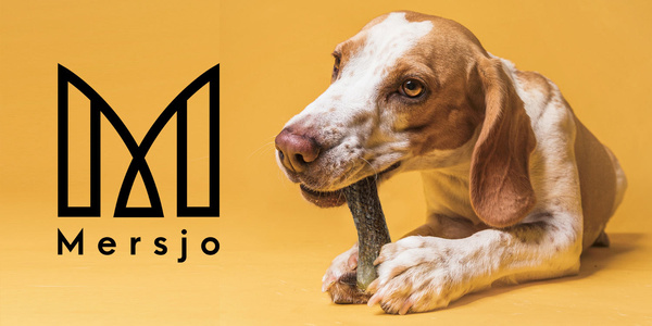 MERSJO salmon chew bone for dogs 13.5 cm - healthy skin and coat