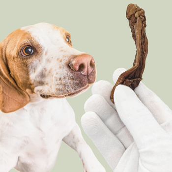 MERSJO tender beef snack for puppies and seniors 100% natural