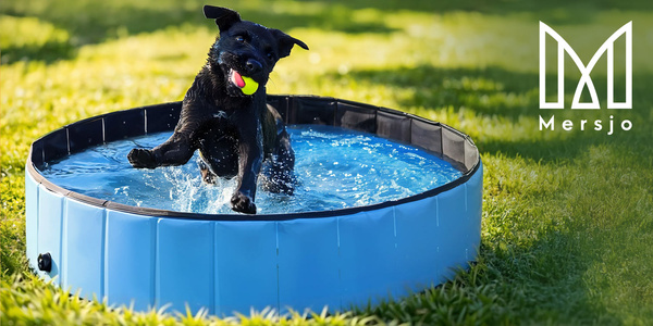 Gartenpool für Hunde und Kinder ideal für die Gartenterrasse DEXTER 80x20cm