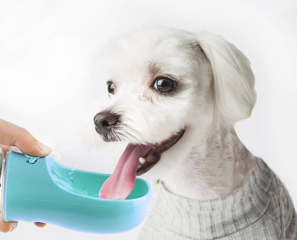 Dog travel bottle 350 ml turquoise