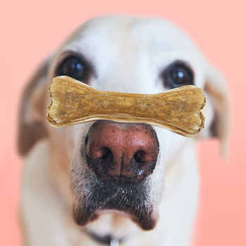 MERSJO pheasant function bone for dogs 13.5 cm - energy and digestion