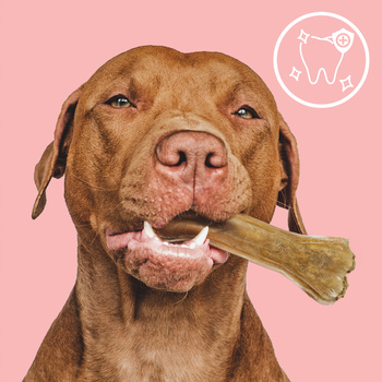 MERSJO kość funkcyjna z bażantem dla psa 13,5 cm – energia i trawienie