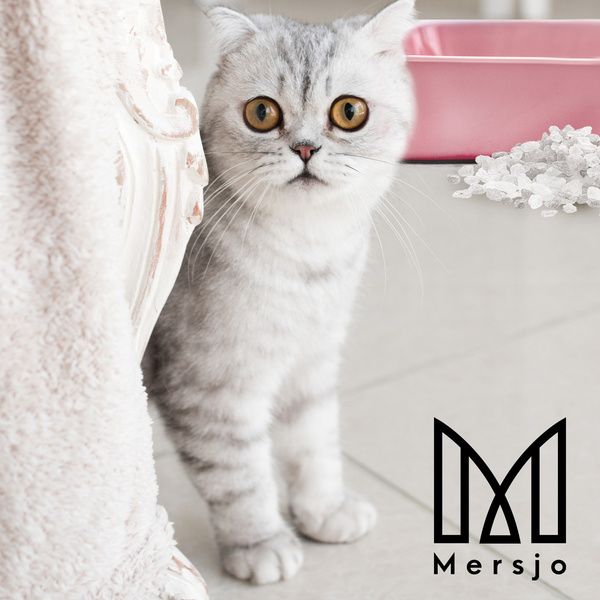 Mersjo Sensitive Silikon-Katzenstreu 5x3.8L