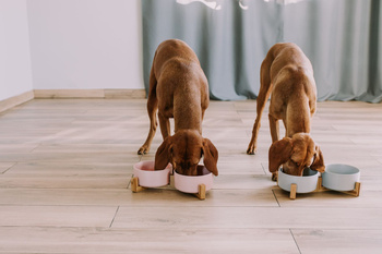 Keramik Doppelschale Holz grau 2x400 ml