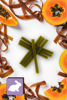 Dental-Snack für Hunde – Mersjo Dental Sticks – Kaninchen mit Papaya und Cranberry