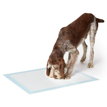 Absorbent Hygiene Pads for Pets L 60x60 (100 pcs)